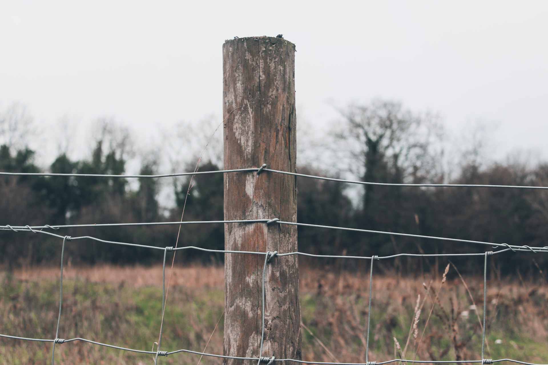 Wooden fence post